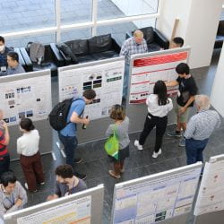 Photo of attendees viewing poster presentations