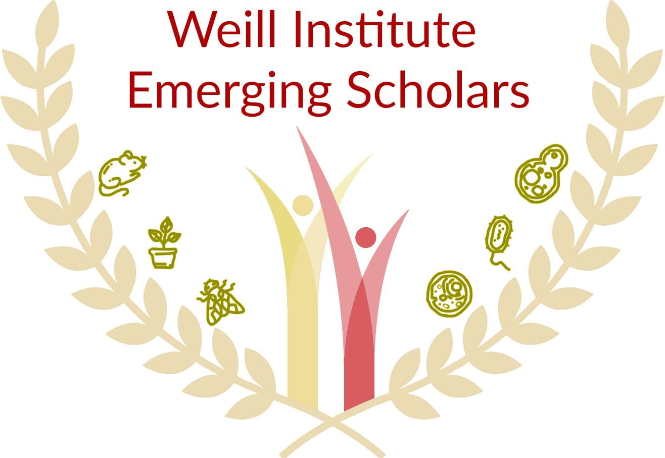 Weill Institute Emerging Scholars Logo by Michelle Heeney